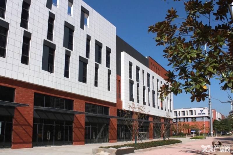 地铁11号线旁配套成熟园区100&minus;20000平办公楼厂房出租-图5