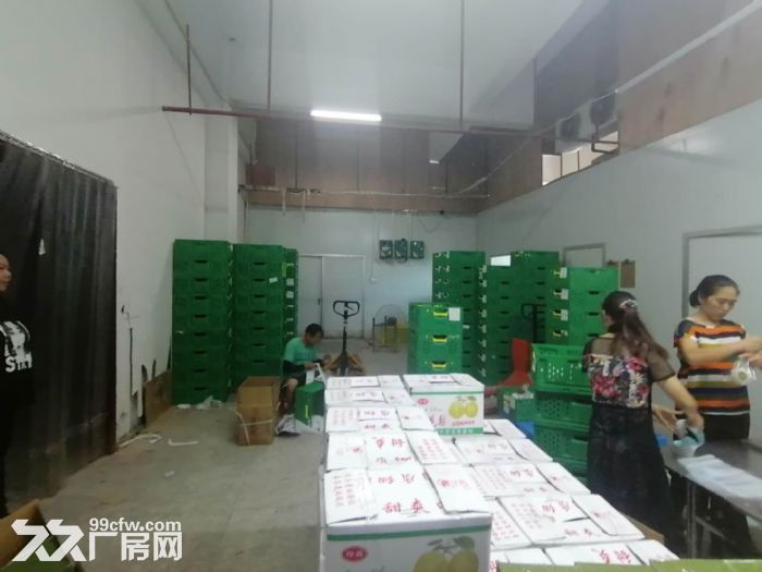 盘屿路 西营里市场 二楼161平方，带60平冷库-图1