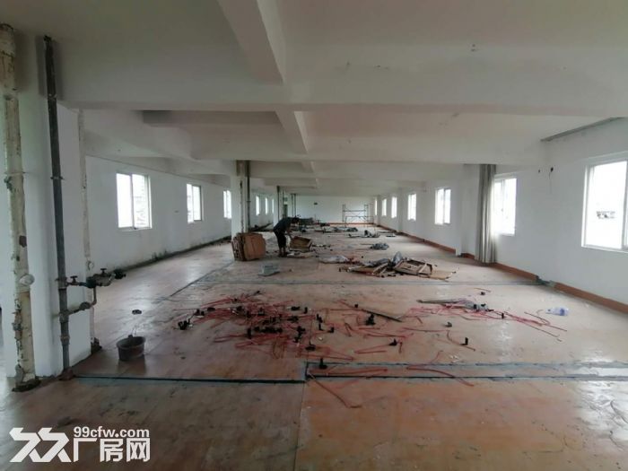盘屿路 5楼(整层400平) 标准厂房 有货梯 租21元-图3