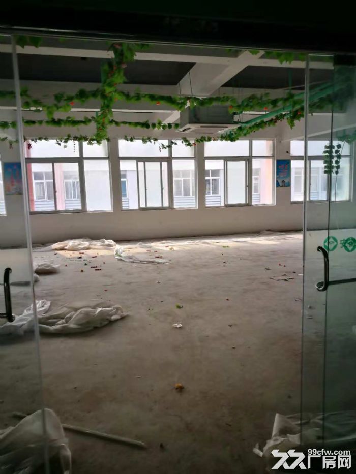 1220平简单装修 配有中央空调  可享受政府补助  直租 可注册-图1