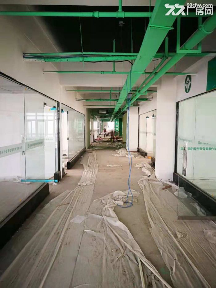 1220平简单装修 配有中央空调  可享受政府补助  直租 可注册-图4