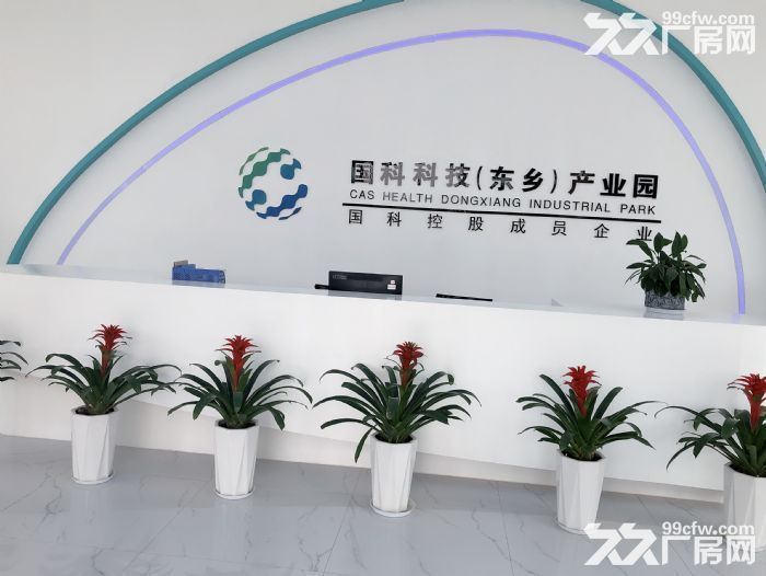 东乡，全新厂房。写字楼，出租，出售-图1