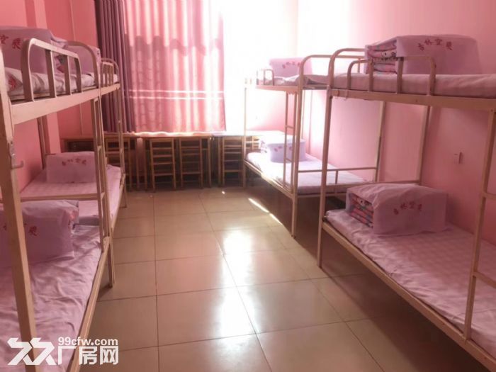 哈尔滨利民大道临近商铺学校出租，适合培训，教室寝室、宿舍配套齐全-图3