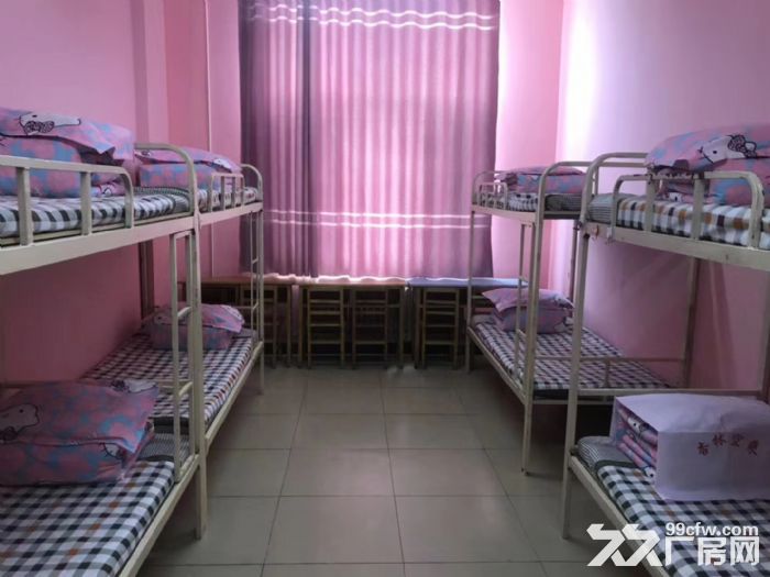 哈尔滨利民大道临近商铺学校出租，适合培训，教室寝室、宿舍配套齐全-图5