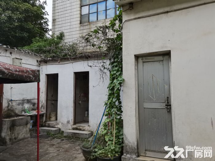 非中介海口市秀英区扶贫开发区840平厂房仓库房东优惠直租-图4