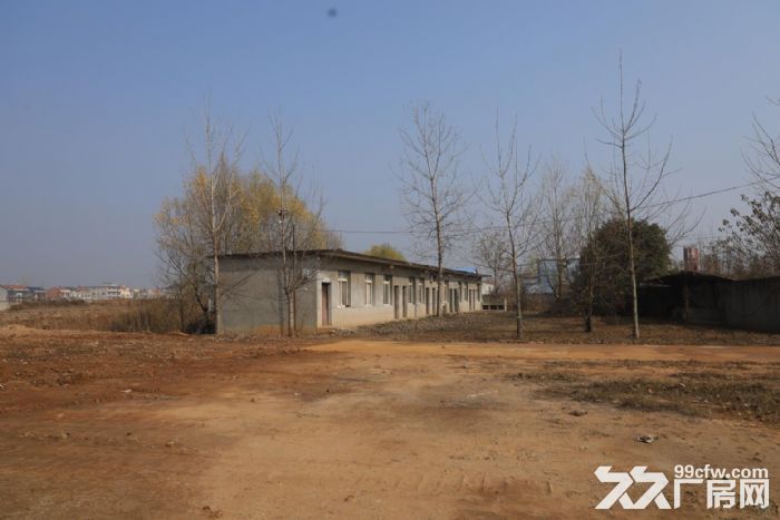 配矿中心选矿厂仓储出租-图4