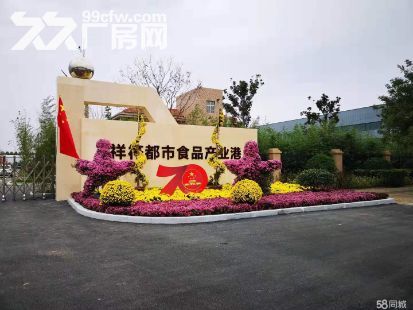 祥符都市食品产业港招商-图1
