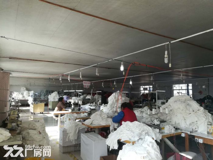 厂房、仓库出租或者合作-图1