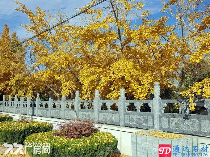 山东省临沭县东盘石材厂出租-图5