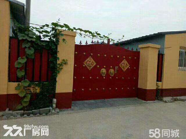 莒南县十字路镇吉美乐对面厂房仓库出租-图1