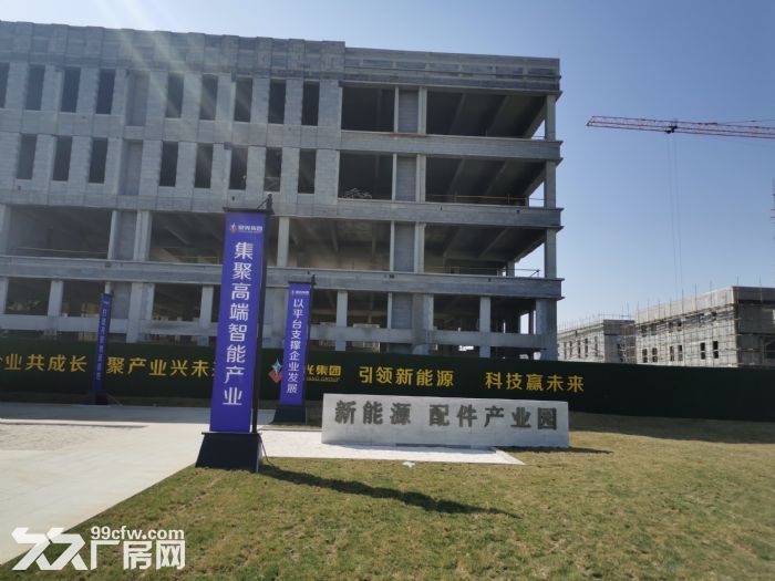 层高8.1米，12米，4.2米，大小面积500m²~4500m²单层，多层，轻钢-图6