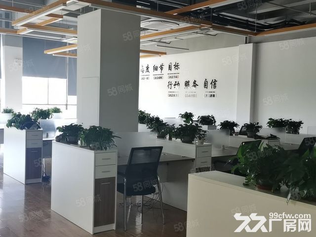 青网产业园一楼695平厂房仓库出租，可分割，注册-图3