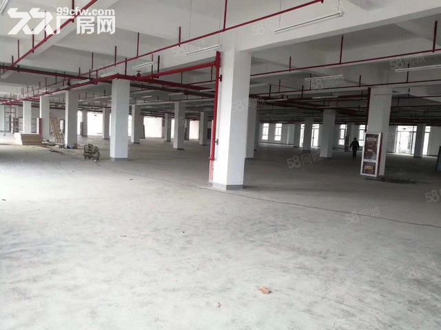 青网产业园一楼695平厂房仓库出租，可分割，注册-图5