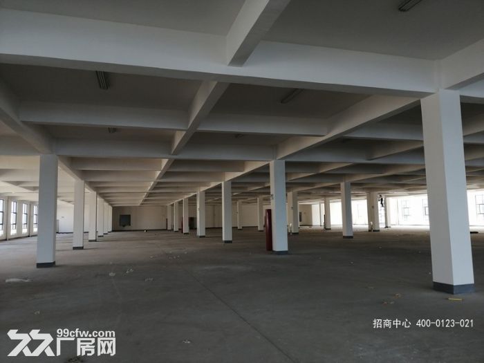 L中南高科 长三角 多个园区 独栋厂房出售 800平起售 独栋三层首层8.1米-图3