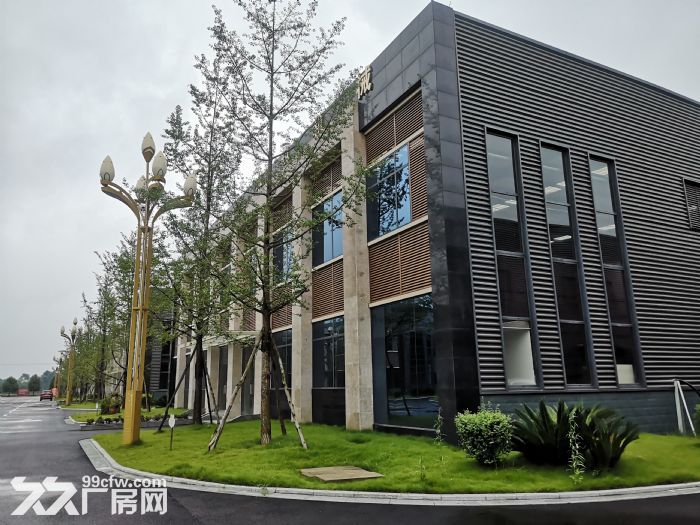 青神县全新现房对外招租-图2