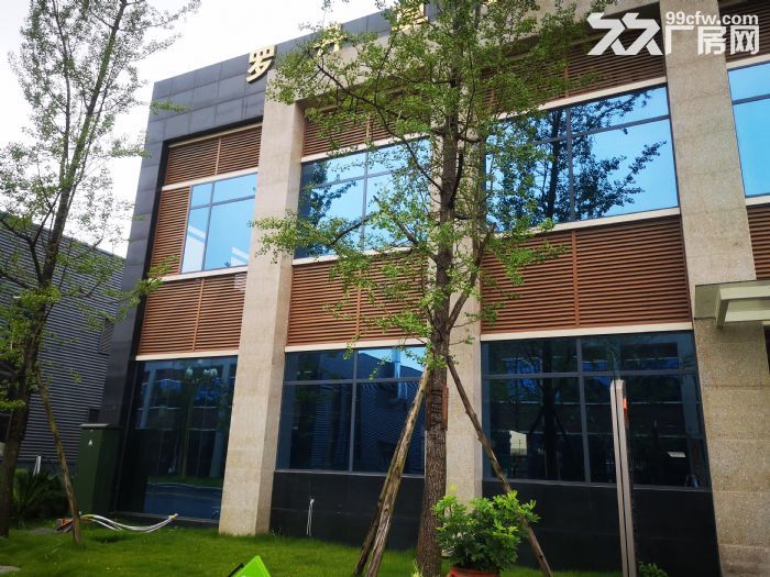 青神县全新现房对外招租-图3