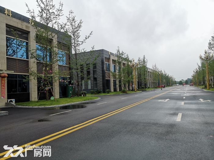 青神县全新现房对外招租-图4