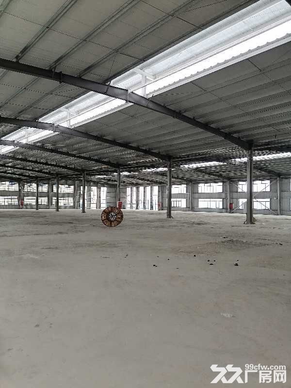 出租全新钢结构厂房10000㎡-图3