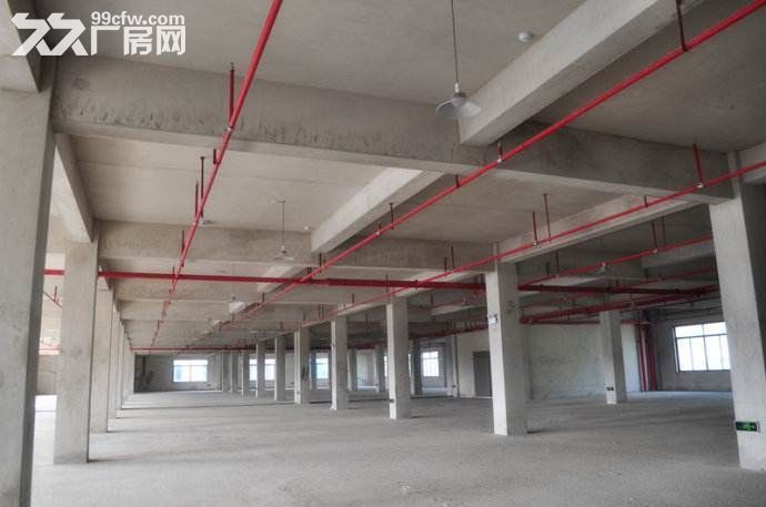 300−3000㎡凤岭东站旁产业园，厂房办公综合体，50年产权-图2