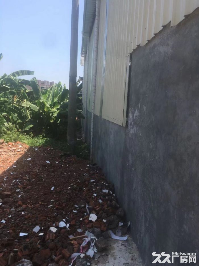 出租武鸣区定罗湖对面一1100平米厂房仓库-图6