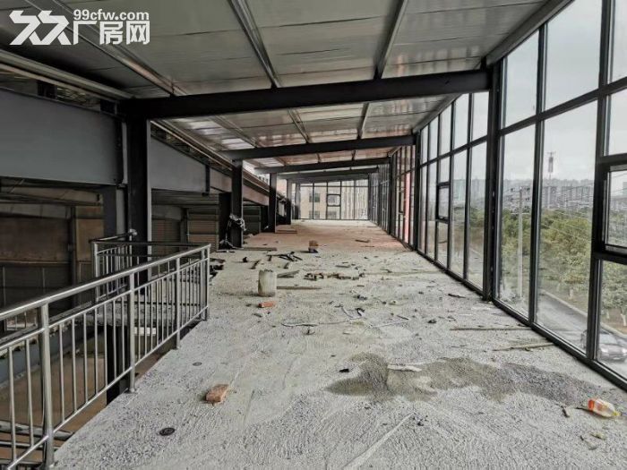 高新南大道 临街钢结构6000㎡厂房招商 可用于汽车4S店  大型仓库-图3