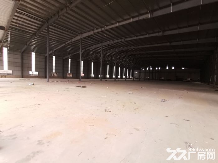 高新南大道 临街钢结构6000㎡厂房招商 可用于汽车4S店  大型仓库-图8