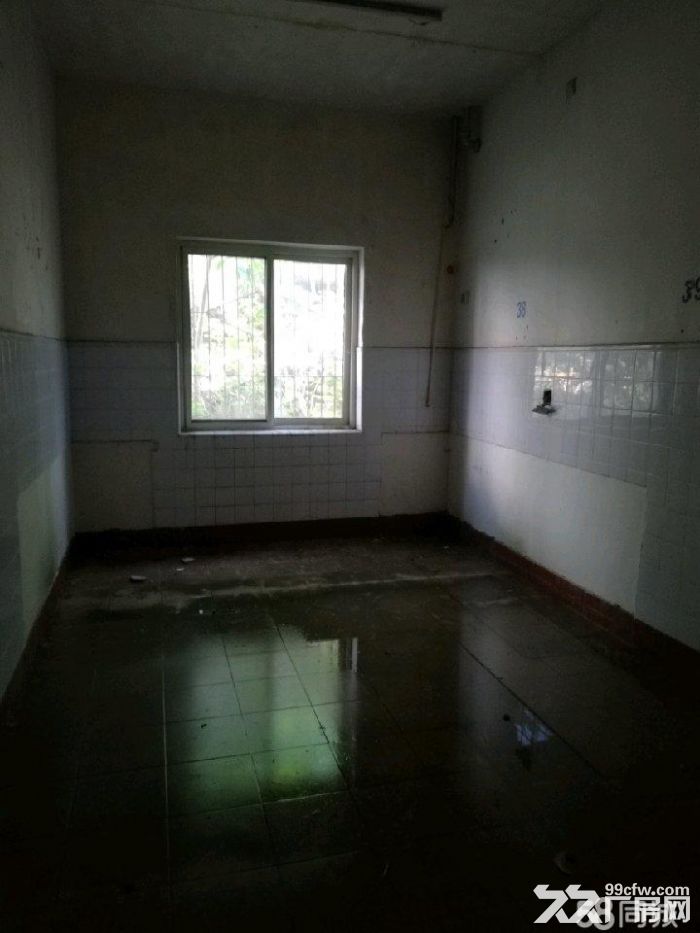 15000平方独院招租，有电梯房5层，适合做养老院，培训学校，宾馆，厂房，仓库。-图1