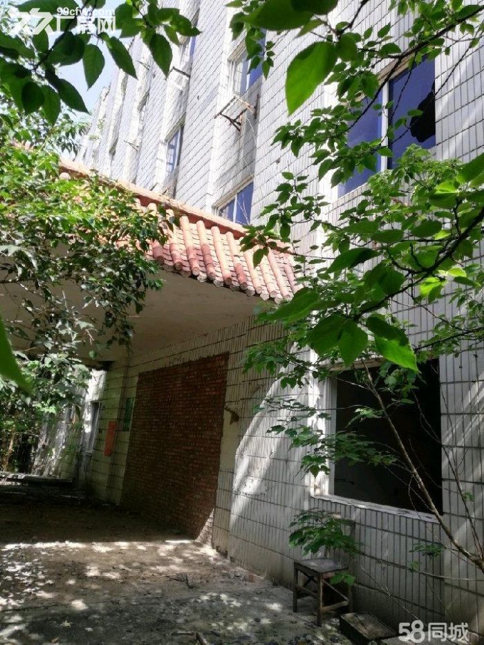 15000平方独院招租，有电梯房5层，适合做养老院，培训学校，宾馆，厂房，仓库。-图5