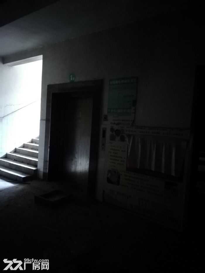 15000平方独院招租，有电梯房5层，适合做养老院，培训学校，宾馆，厂房，仓库。-图6