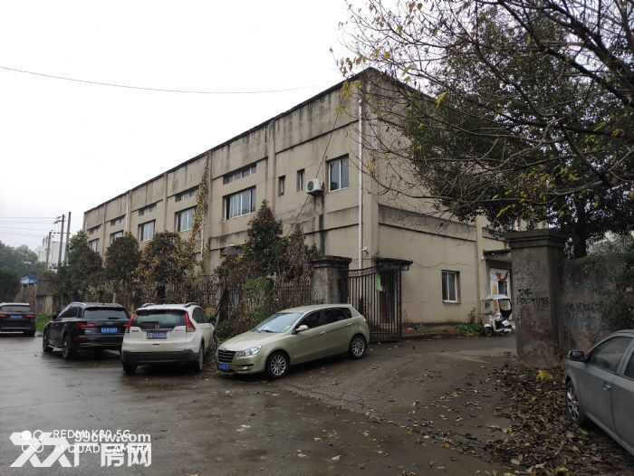 南昌新建区最实用的厂房出租-图6