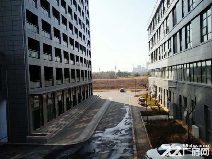 南昌望城新区研发办公厂房出租 |20000平起 | 前三个月免租期-图5