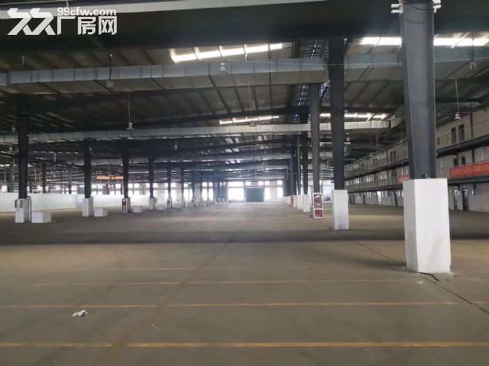 独院标准高月台仓储对外招租-图3