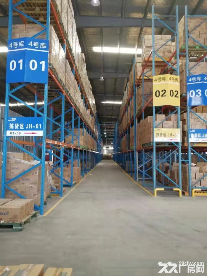 独院标准高月台仓储对外招租-图4