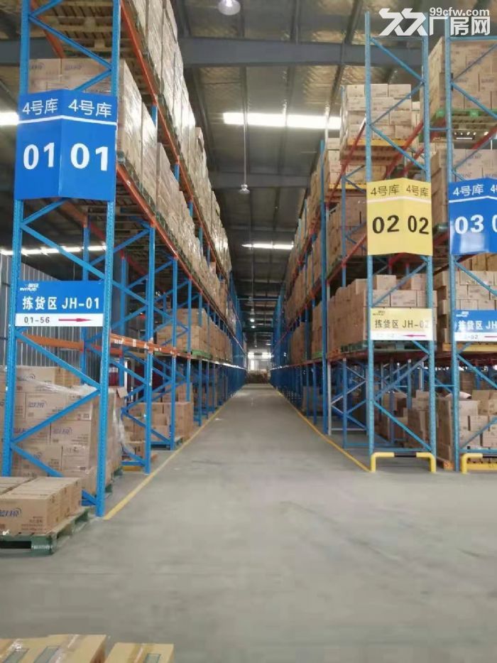 独院标准高月台仓储对外招租-图6