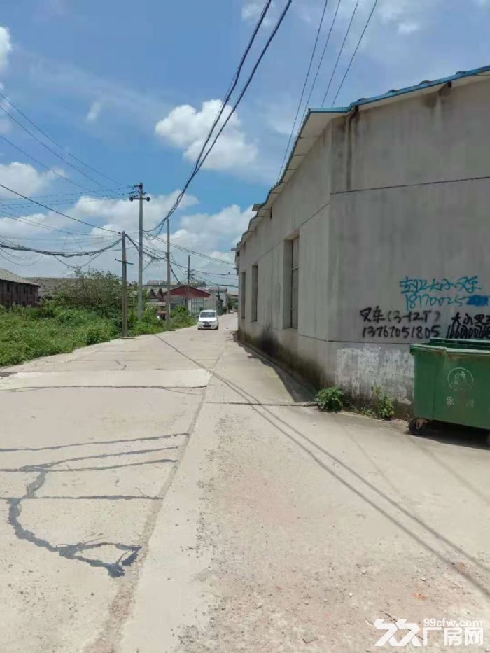 八一乡涂埠村厂房+4亩空地出租-图2