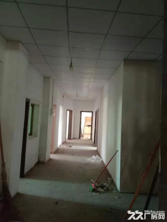 八一乡涂埠村厂房+4亩空地出租-图7