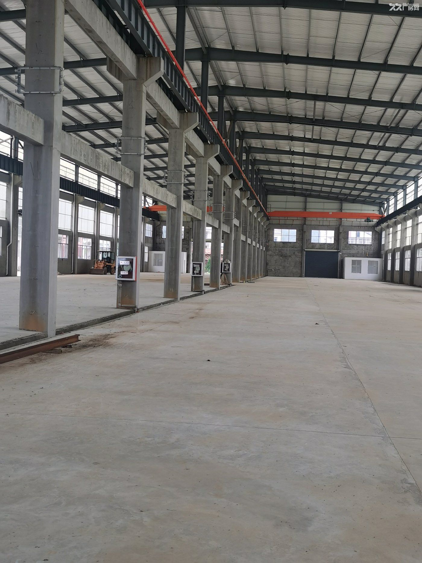 独门独院 厂房、仓库、宿舍、招租-图8