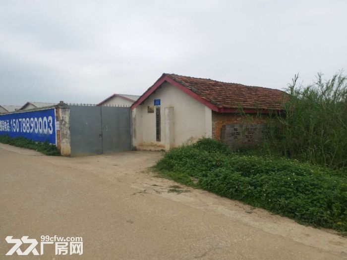 出租冰糖厂厂房资质齐全环境优美-图1