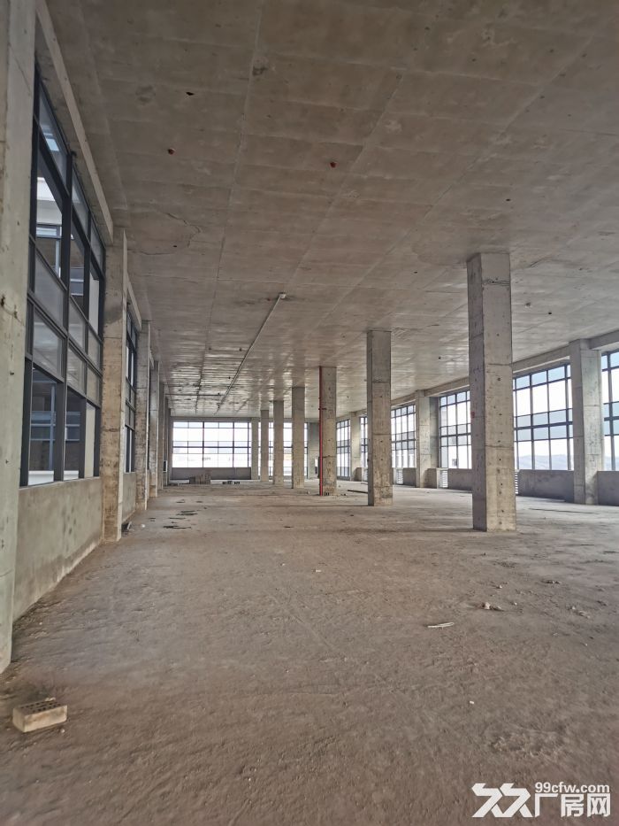 出租江南经开区500&minus;30000㎡标准厂房有一楼层高6米-图5
