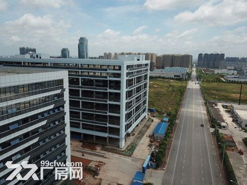 15万平厂房诚招食品行业入驻，单层层高6米-图4