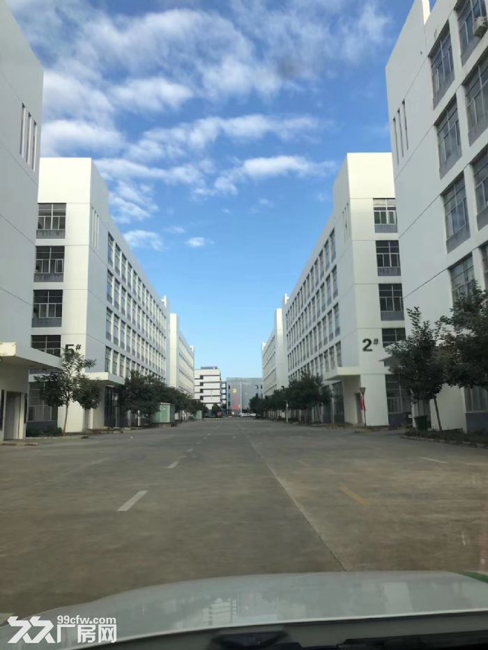 东盟经开区各类规格、面积单层钢结构厂房出租！-图1