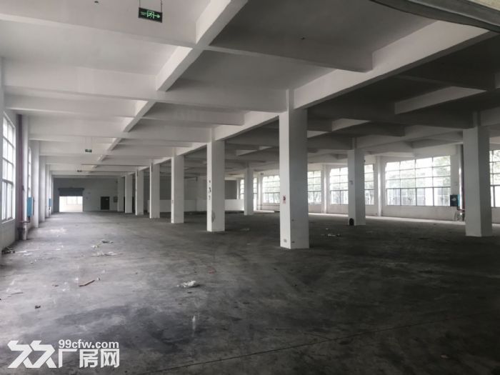 东盟经开区各类规格、面积单层钢结构厂房出租！-图2