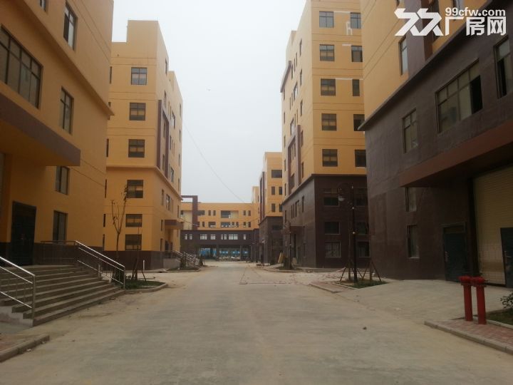 【租/售】300&minus;80000平，标准厂房【国企】证件齐全-图1