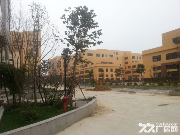 【租/售】300&minus;80000平，标准厂房【国企】证件齐全-图2