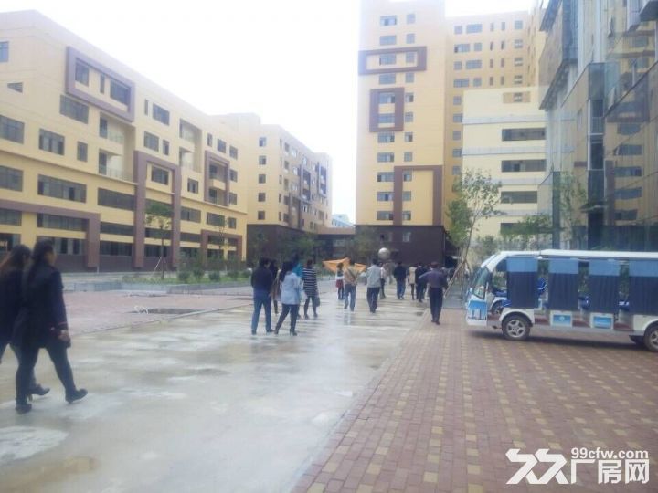 【租/售】300&minus;80000平，标准厂房【国企】证件齐全-图3