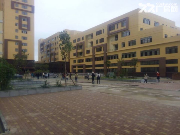 【租/售】300&minus;80000平，标准厂房【国企】证件齐全-图4