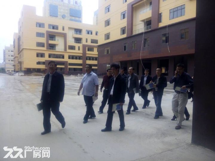 【租/售】300&minus;80000平，标准厂房【国企】证件齐全-图6