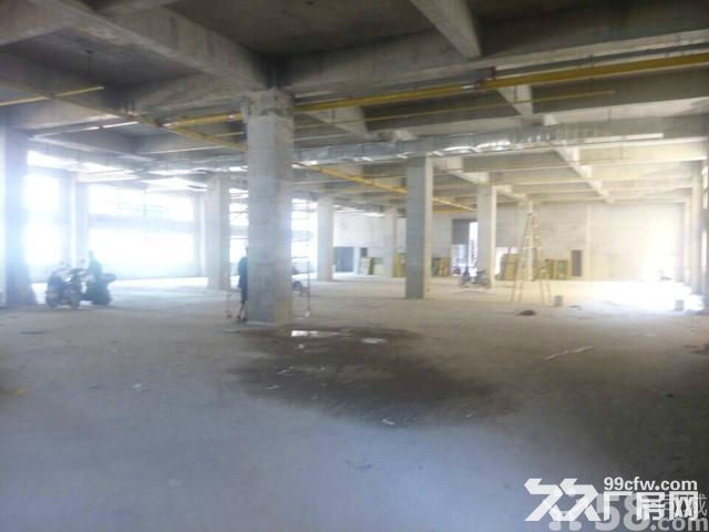 【租/售】300&minus;80000平，标准厂房【国企】证件齐全-图7