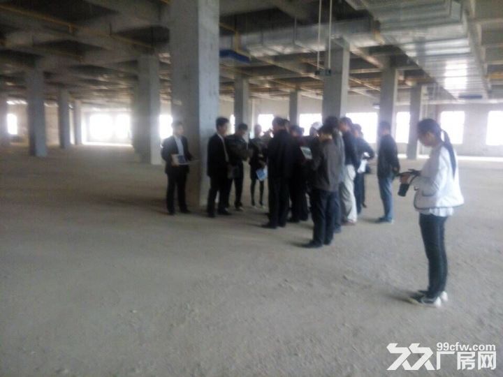 【租/售】300&minus;80000平，标准厂房【国企】证件齐全-图8