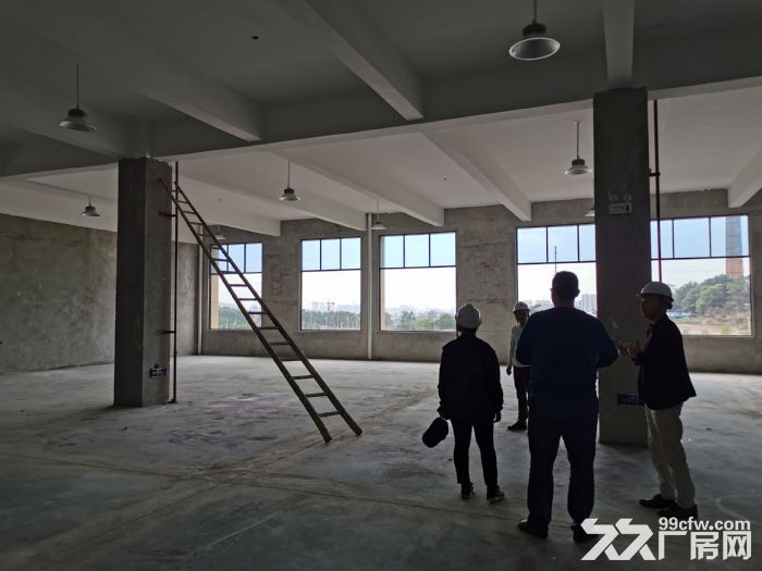 高新区2500平标准厂房出售可分割，50年产权6米层高有一楼-图6